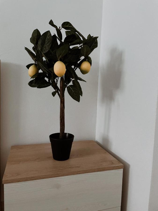 Apartments Bali Durrës 외부 사진